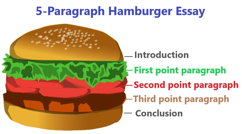 Diagram of a hamburger illustrating the 5-paragraph essay structure with labeled introduction, three body paragraphs, and conclusion.