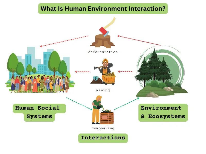 Diagram illustrating human-environment interaction with deforestation, mining, and composting linking social systems and ecosystems.