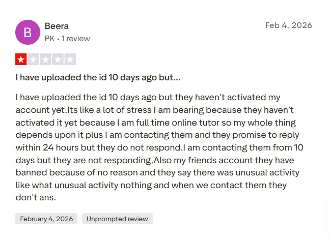 Negative TutorBin Trustpilot review claiming project mistakes were not fixed