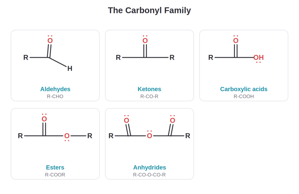 Aldehyde, ketone, carboxylic acid, ester, and anhydride carbonyl functional group structures