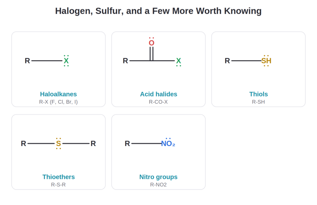 Haloalkane, acid halide, thiol, thioether, and nitro functional group structures