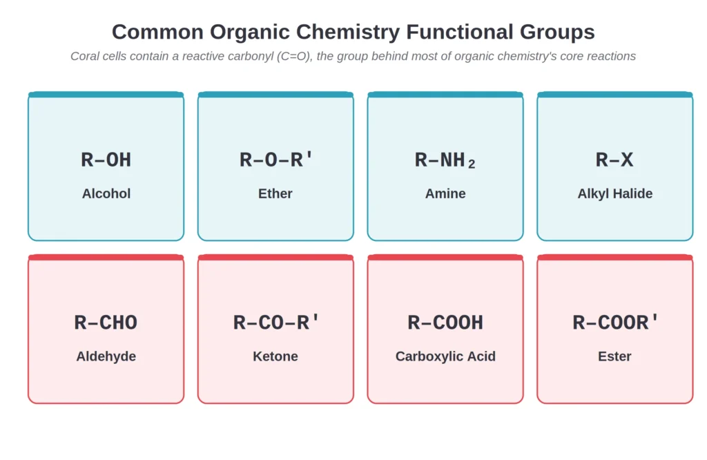 Reference chart of eight common organic chemistry functional groups: alcohol, ether, amine, alkyl halide, aldehyde, ketone, carboxylic acid, and ester